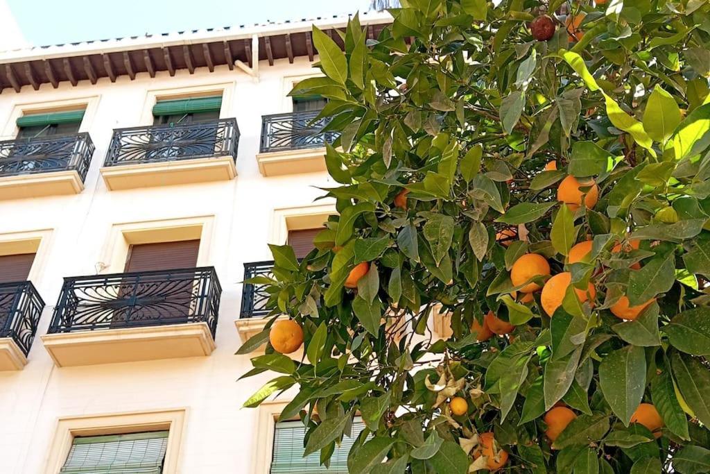 Large Family Home In Albaicin Center Granada Exteriör bild